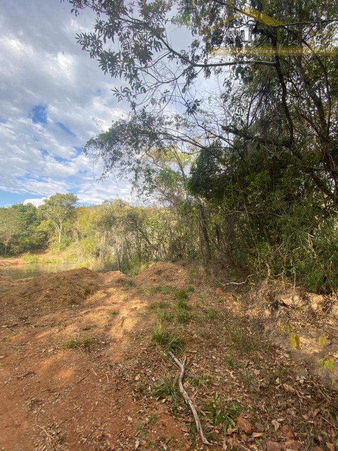 WhatsApp Image 2025-09-01 at 10.17.08 (1).jpeg